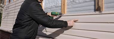 Best Siding Painting and Refinishing  in Round Lake Heights, IL